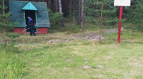 Благоустройство