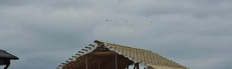 В  Пеневичах  продолжается  создание  жилого комплекса  для  работников  АПК
