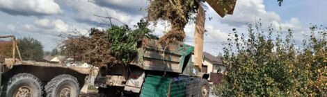 Благоустройство: встретим  осень  в  чистоте?