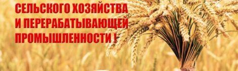 11 октября - День  работника сельского хозяйства  и перерабатывающей промышленности